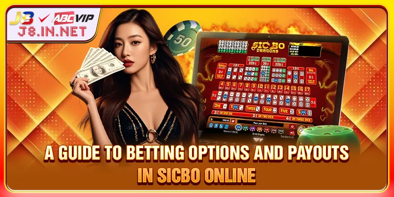 Sicbo Online: Betting Options and Payouts