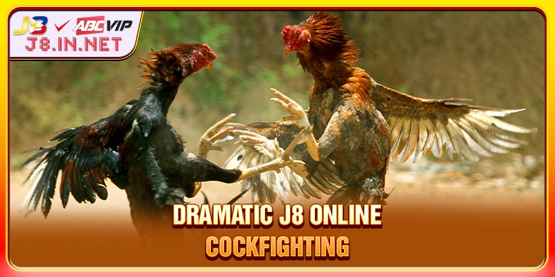 Dramatic J8 online cockfighting