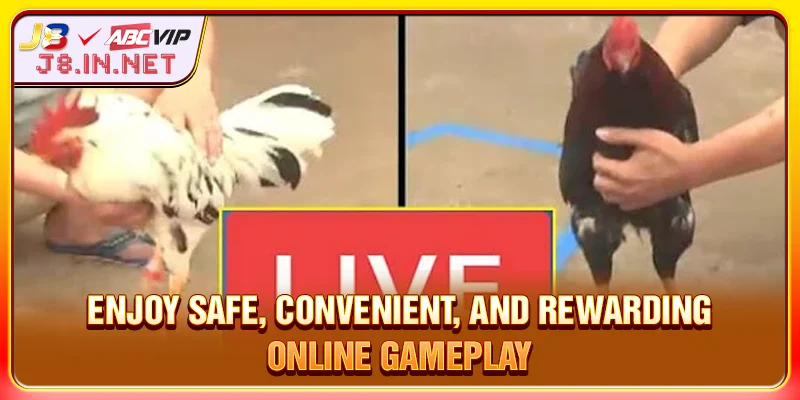 Enjoy safe, convenient, and rewarding online gameplay