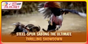 Steel-Spur Sabong