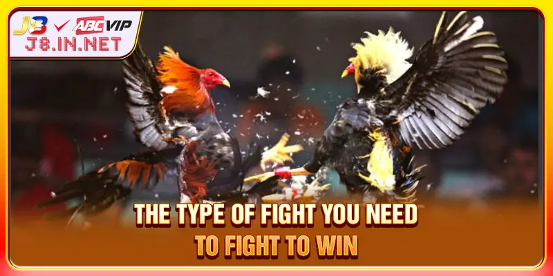 The type of fight you need to fight to win